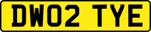 DW02TYE