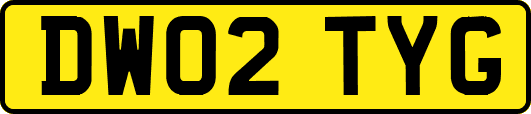 DW02TYG