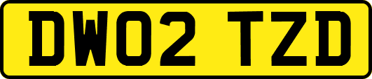 DW02TZD