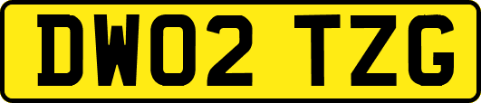 DW02TZG