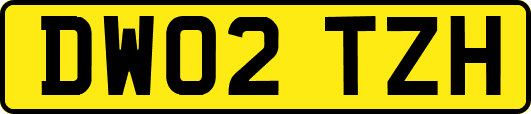 DW02TZH