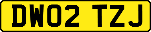DW02TZJ