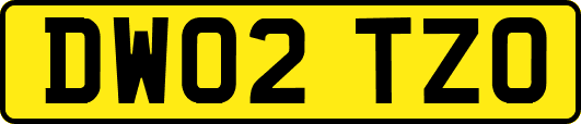 DW02TZO