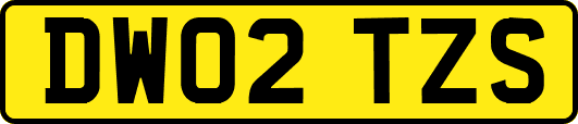 DW02TZS