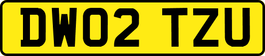 DW02TZU