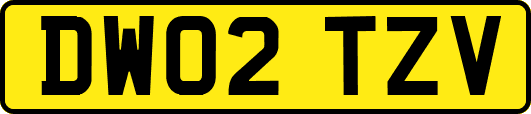 DW02TZV