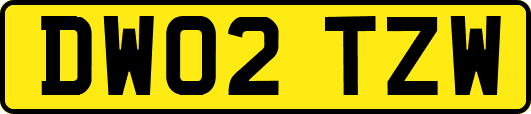 DW02TZW