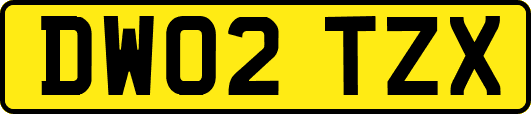 DW02TZX
