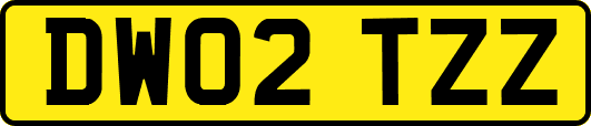 DW02TZZ
