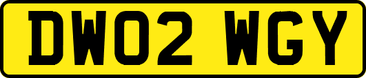 DW02WGY