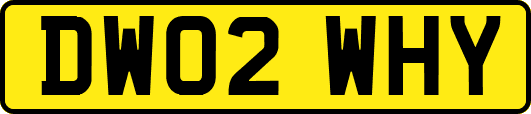 DW02WHY