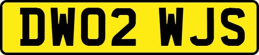 DW02WJS