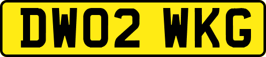 DW02WKG