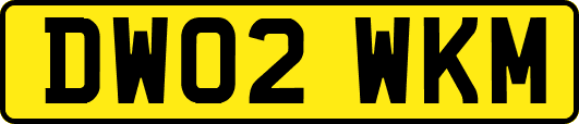 DW02WKM
