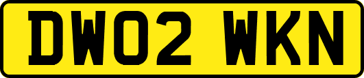 DW02WKN