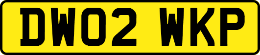 DW02WKP