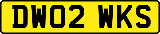 DW02WKS