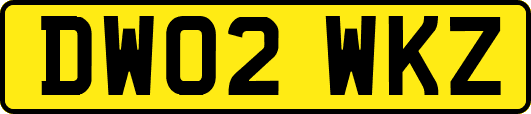 DW02WKZ