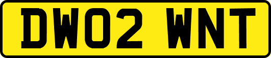 DW02WNT
