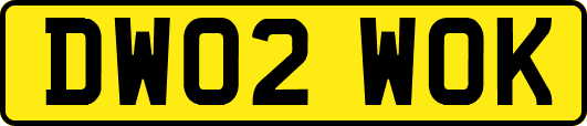 DW02WOK
