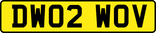 DW02WOV