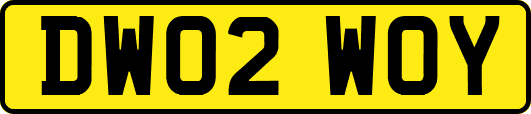 DW02WOY