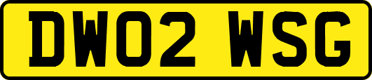 DW02WSG