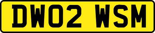 DW02WSM
