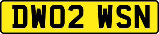 DW02WSN