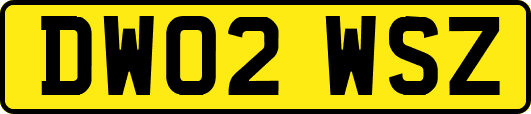 DW02WSZ
