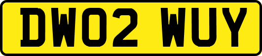 DW02WUY