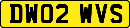 DW02WVS