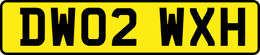 DW02WXH