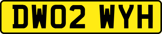 DW02WYH
