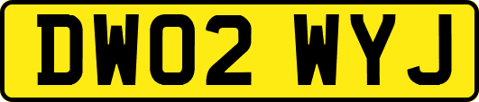 DW02WYJ