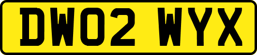DW02WYX