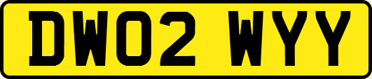 DW02WYY
