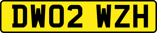 DW02WZH