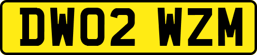 DW02WZM