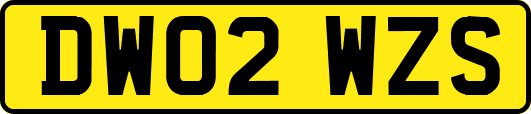 DW02WZS