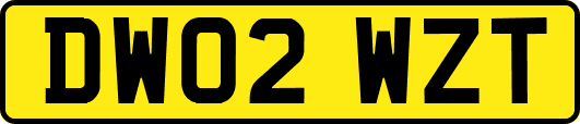 DW02WZT