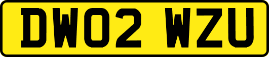 DW02WZU