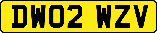 DW02WZV