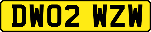 DW02WZW