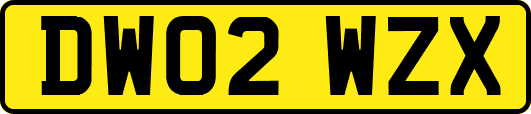 DW02WZX