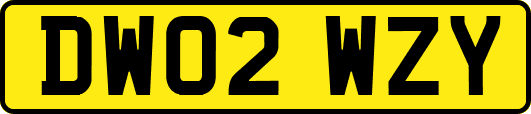 DW02WZY