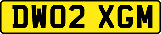 DW02XGM