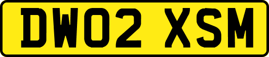 DW02XSM