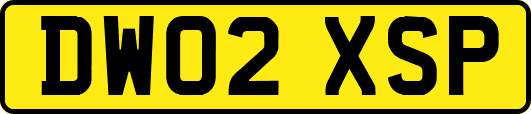 DW02XSP