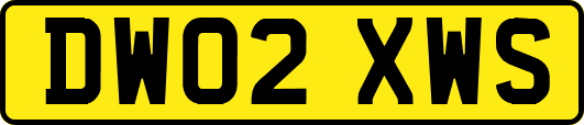 DW02XWS